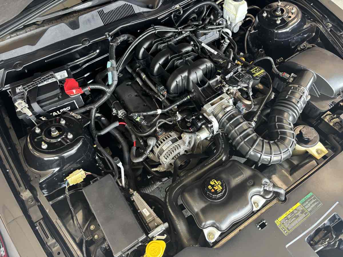 Ford Mustang photo 25