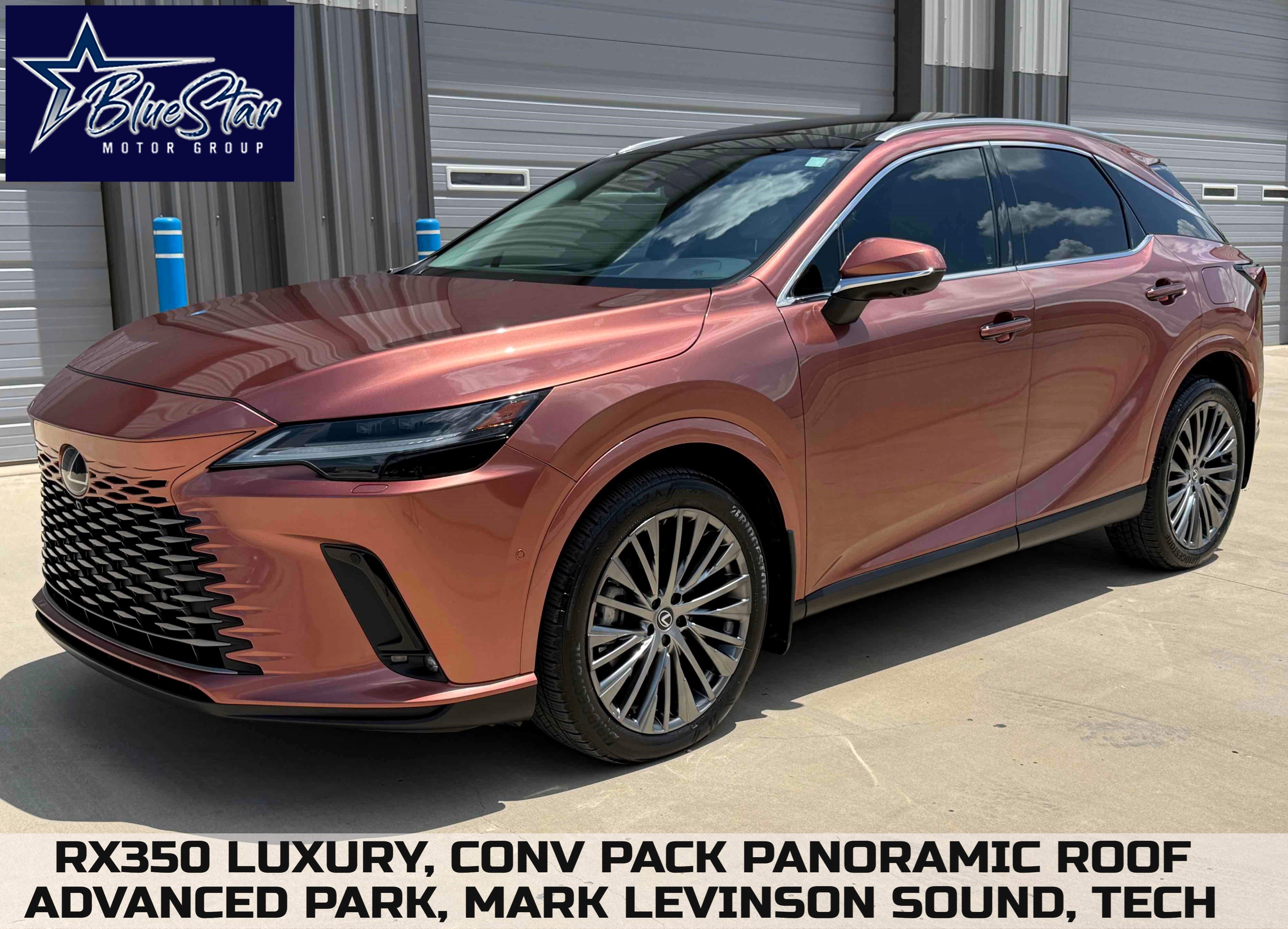 2024 Lexus RX 350 350 Luxury FWD's photo