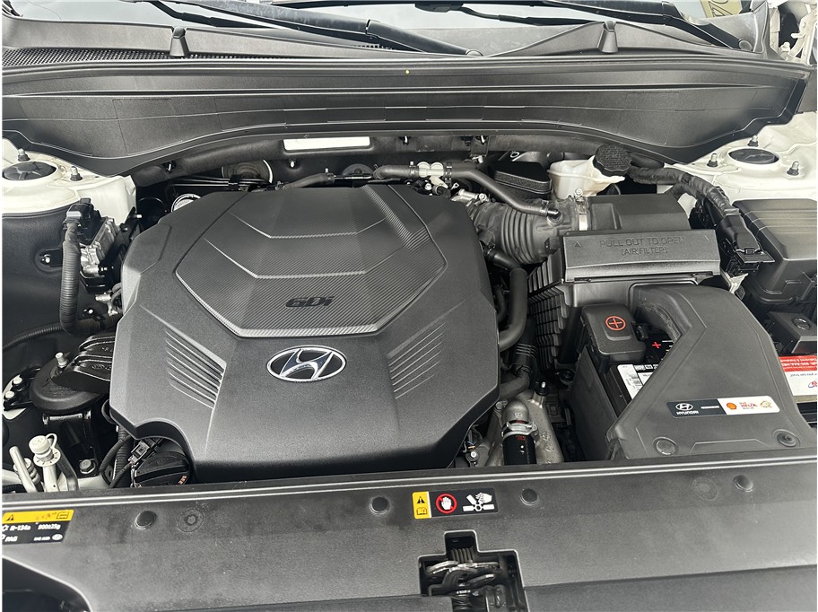 Photo 47 of this Hyundai Palisade