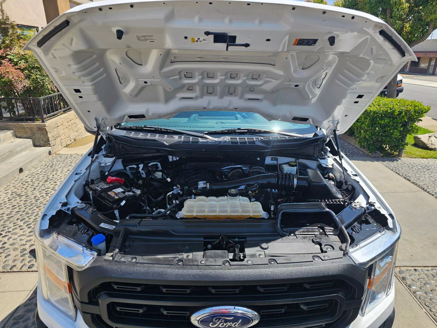2021 Ford F-150 XL photo 22
