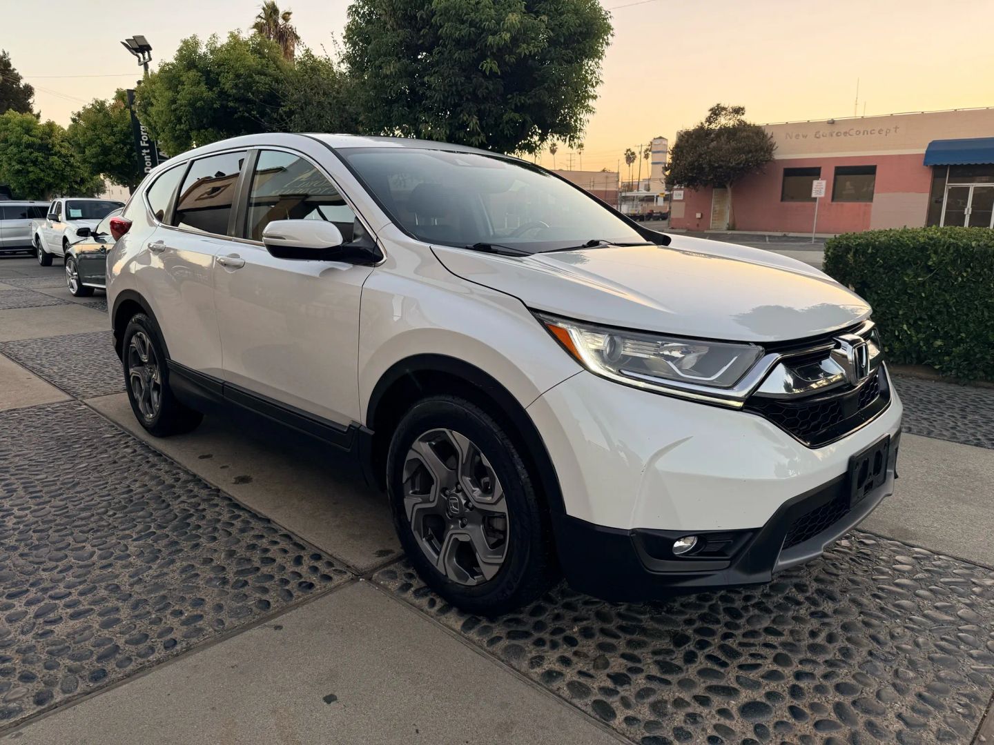 2019 Honda CR-V EX-L photo 2