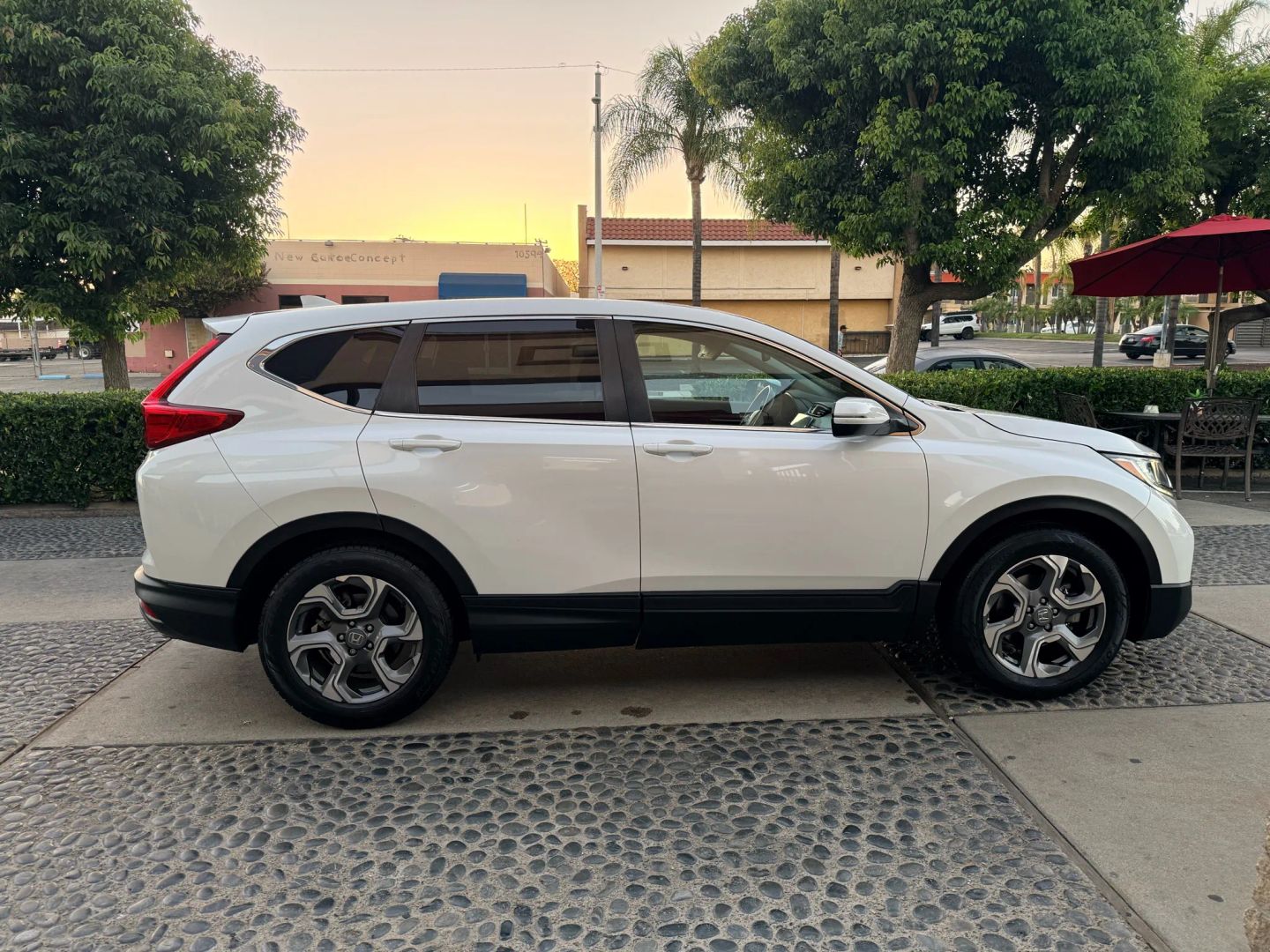 2019 Honda CR-V EX-L photo 3