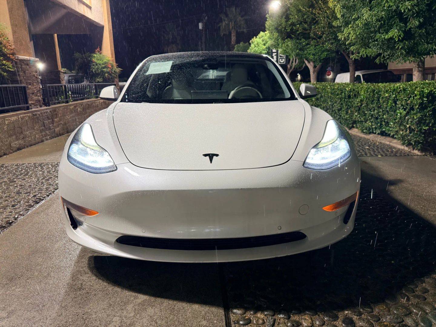 2021 Tesla Model 3 Standard Range Plus photo 2