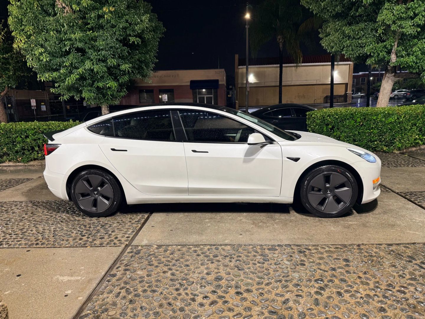2021 Tesla Model 3 Standard Range Plus photo 4
