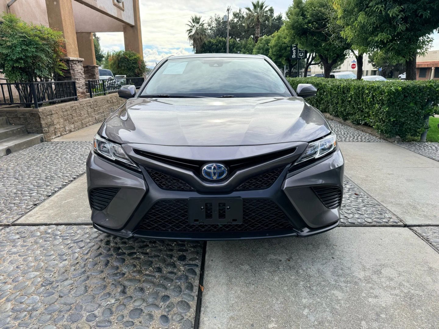 2019 Toyota Camry SE XLE Hybrid photo 2