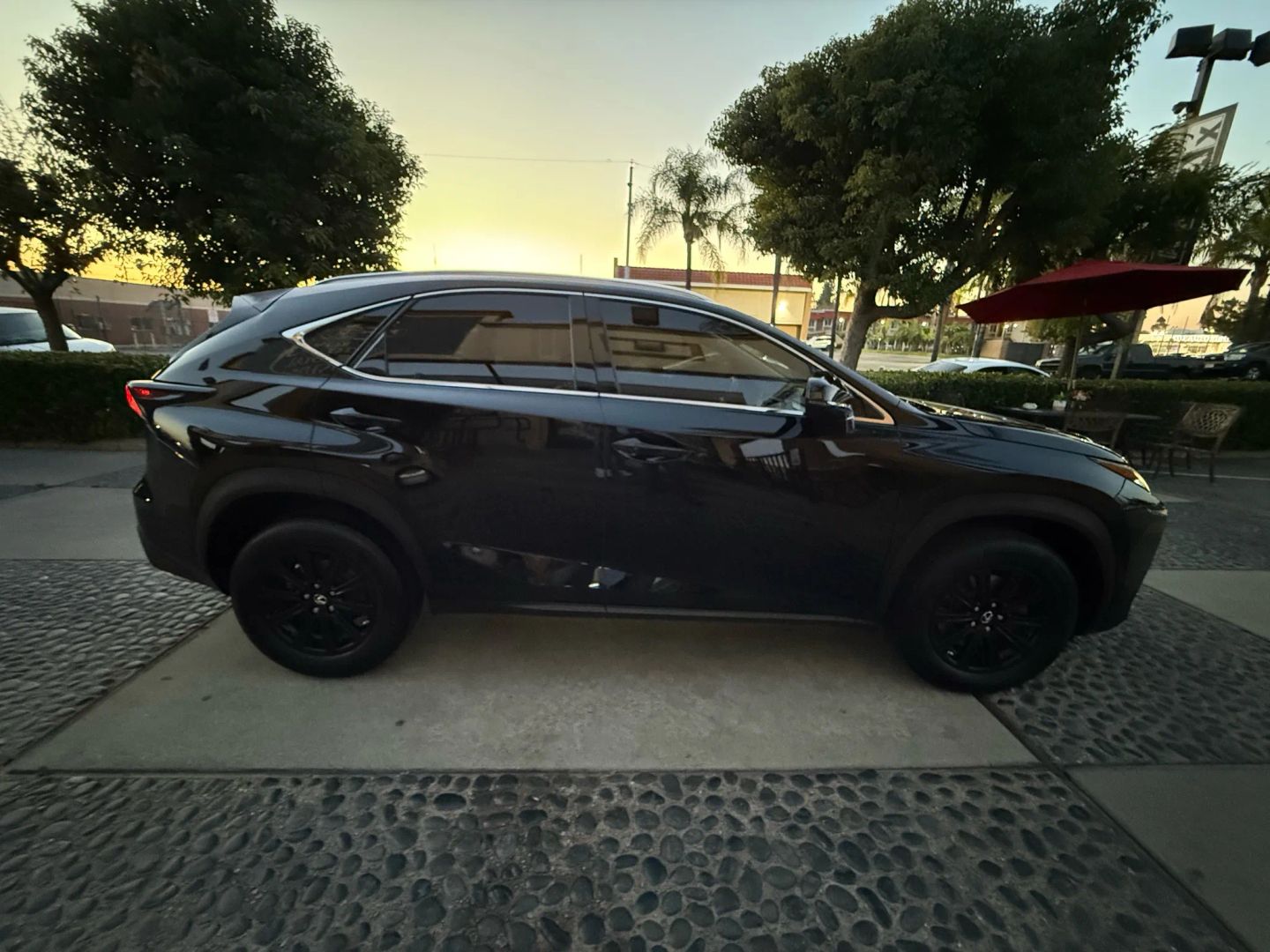 2015 Lexus NX 200t Luxury photo 4