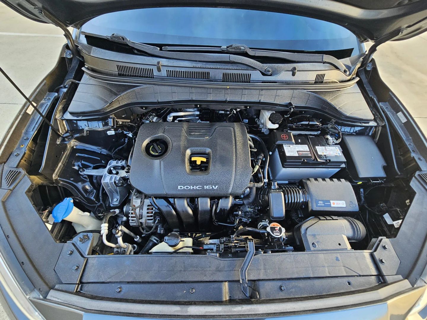 Image #38