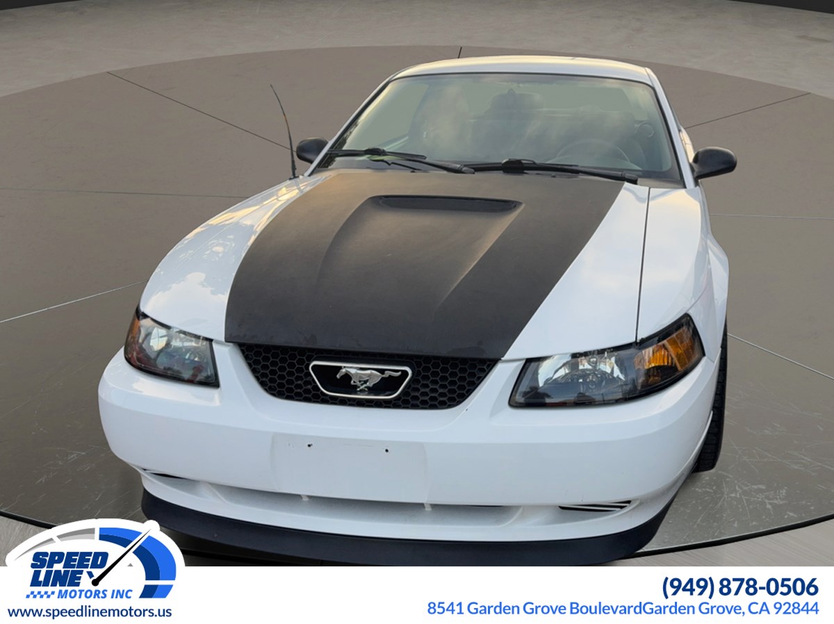 2001 Ford Mustang GT Bullitt photo 3