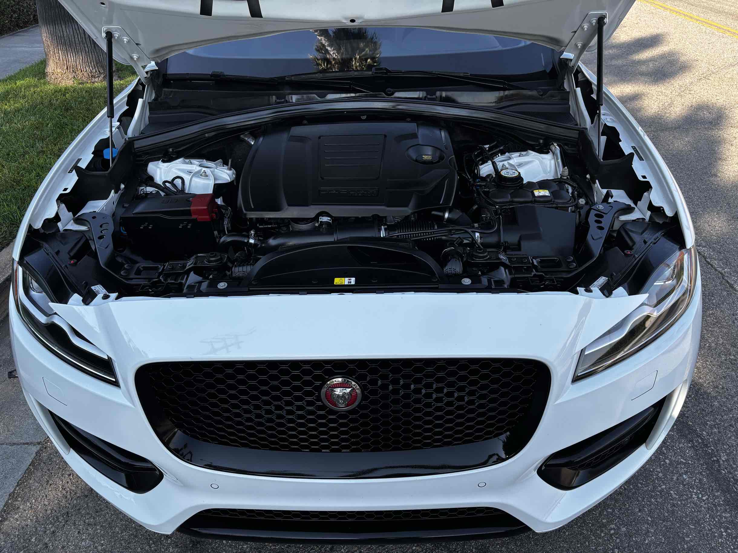 2018 Jaguar F-PACE R-Dynamic SE photo 55