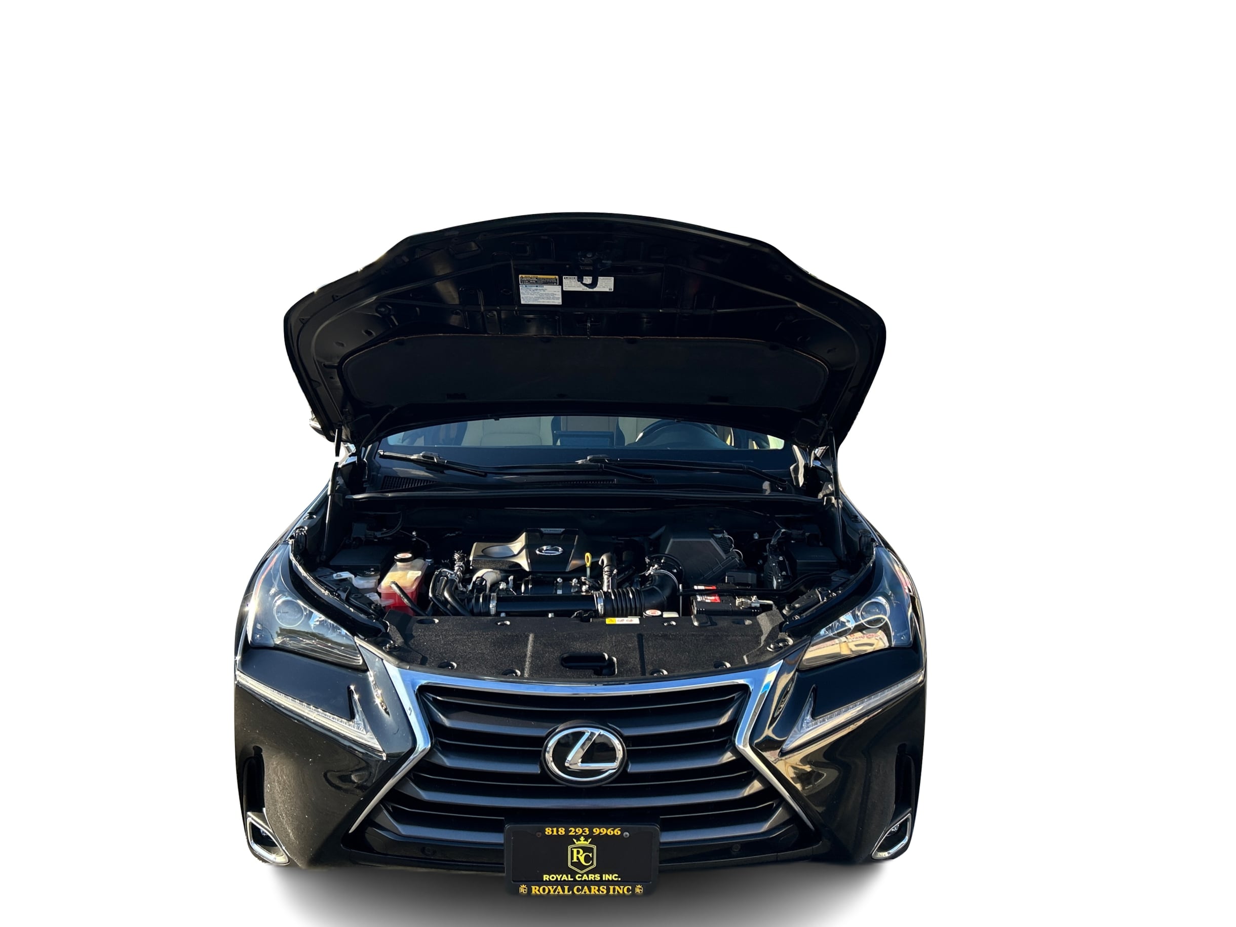 Image #60