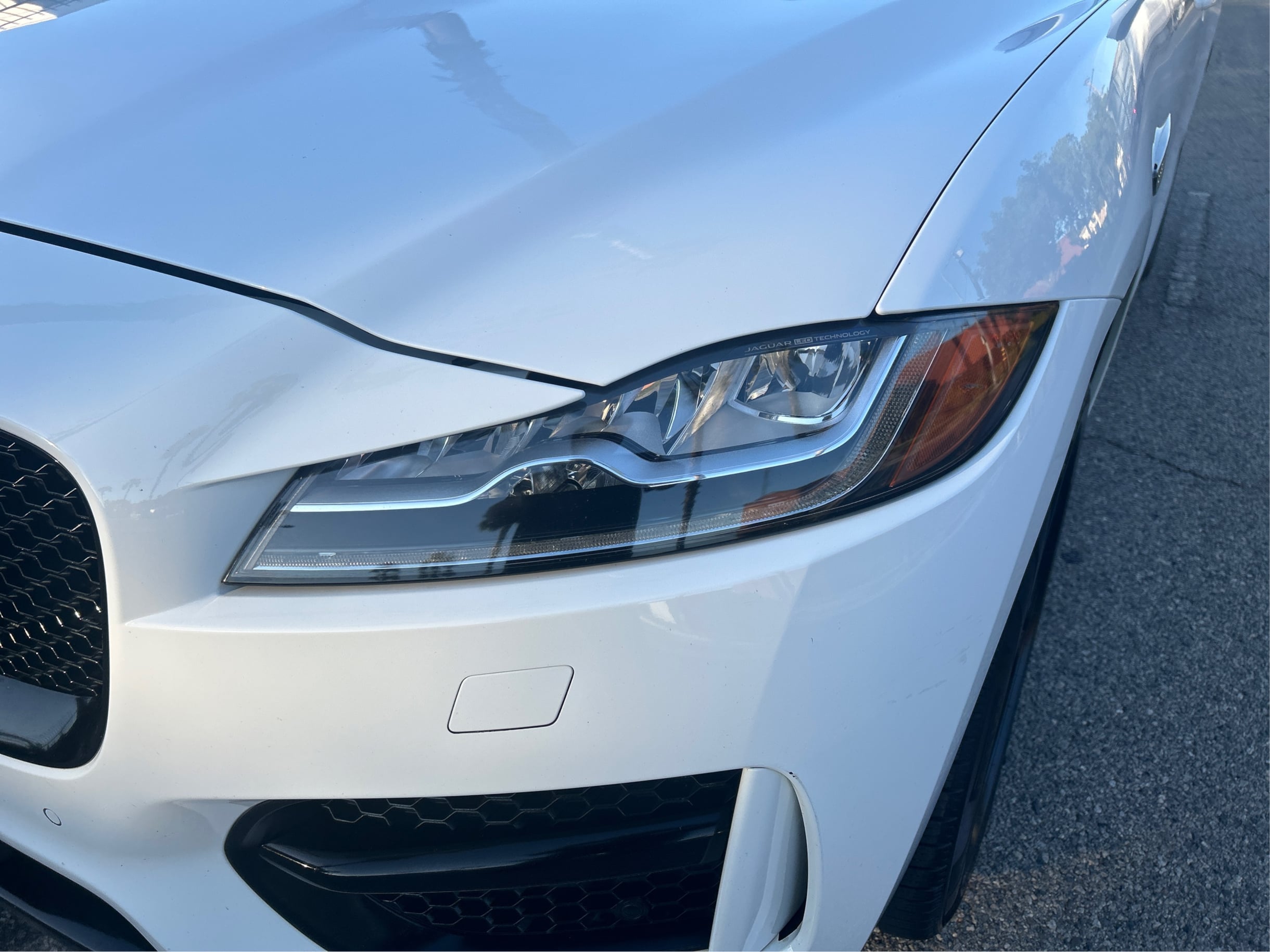 Image #39