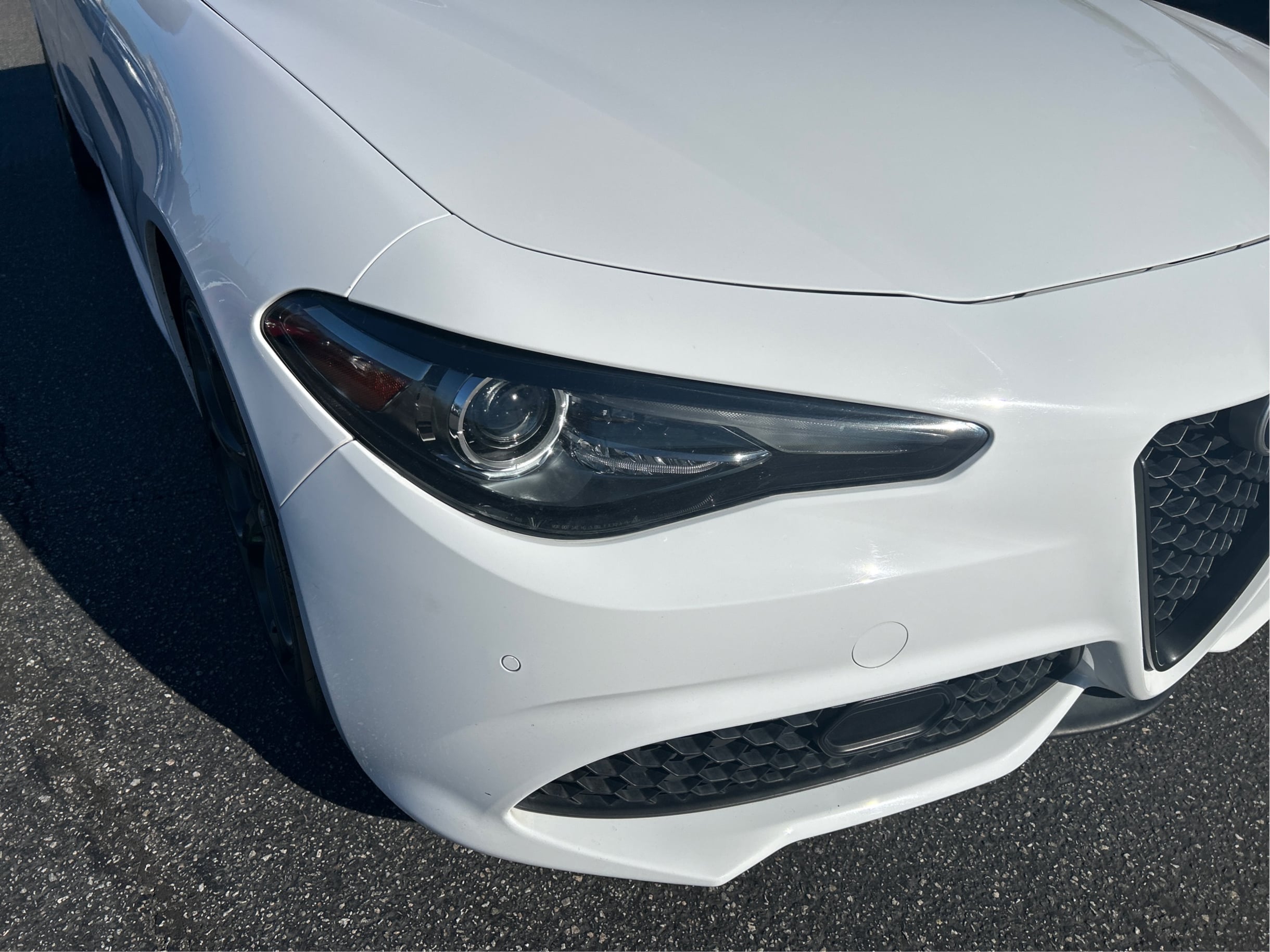 Photo 41 of this Alfa Romeo Giulia