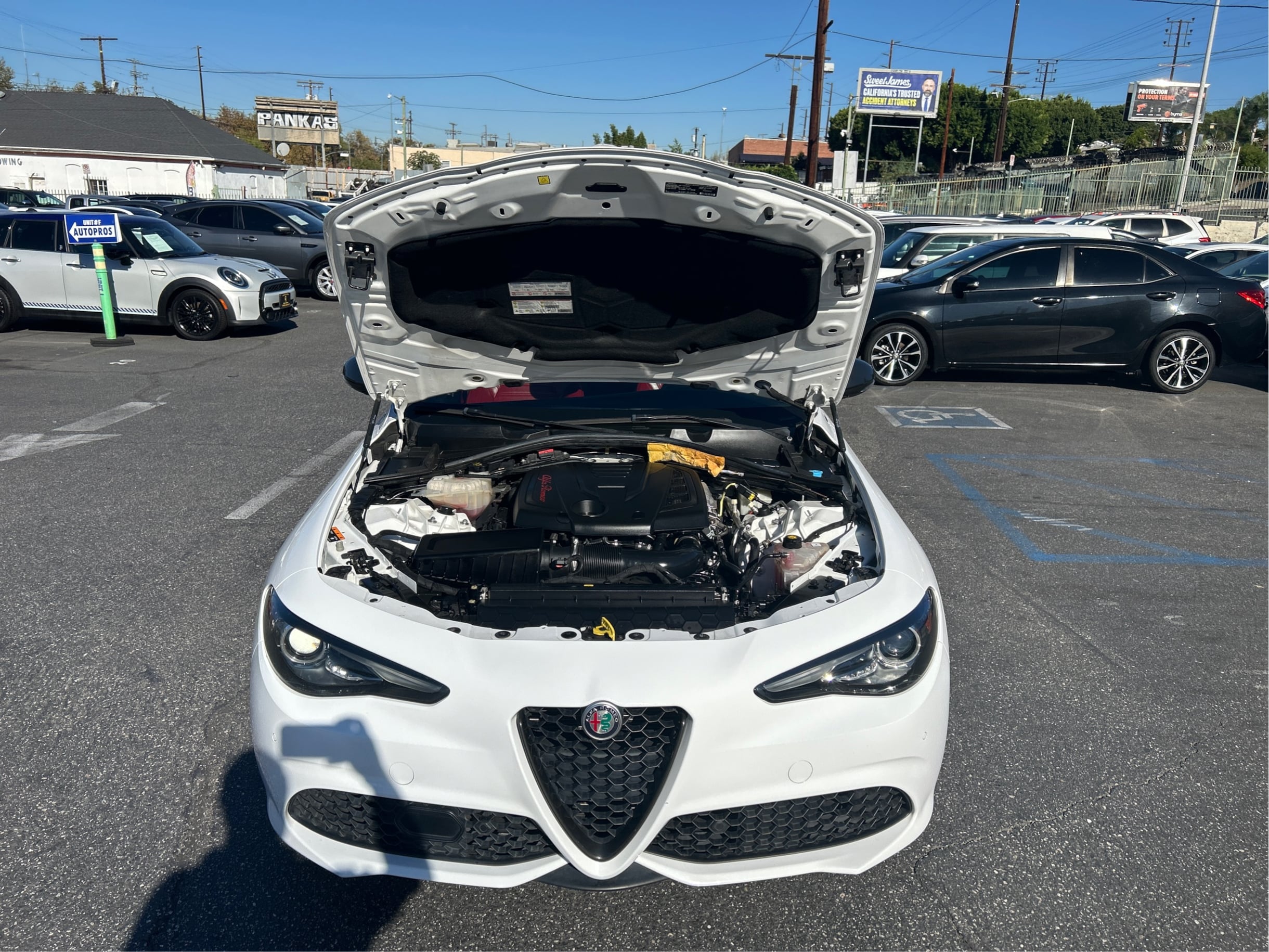 Photo 11 of this Alfa Romeo Giulia