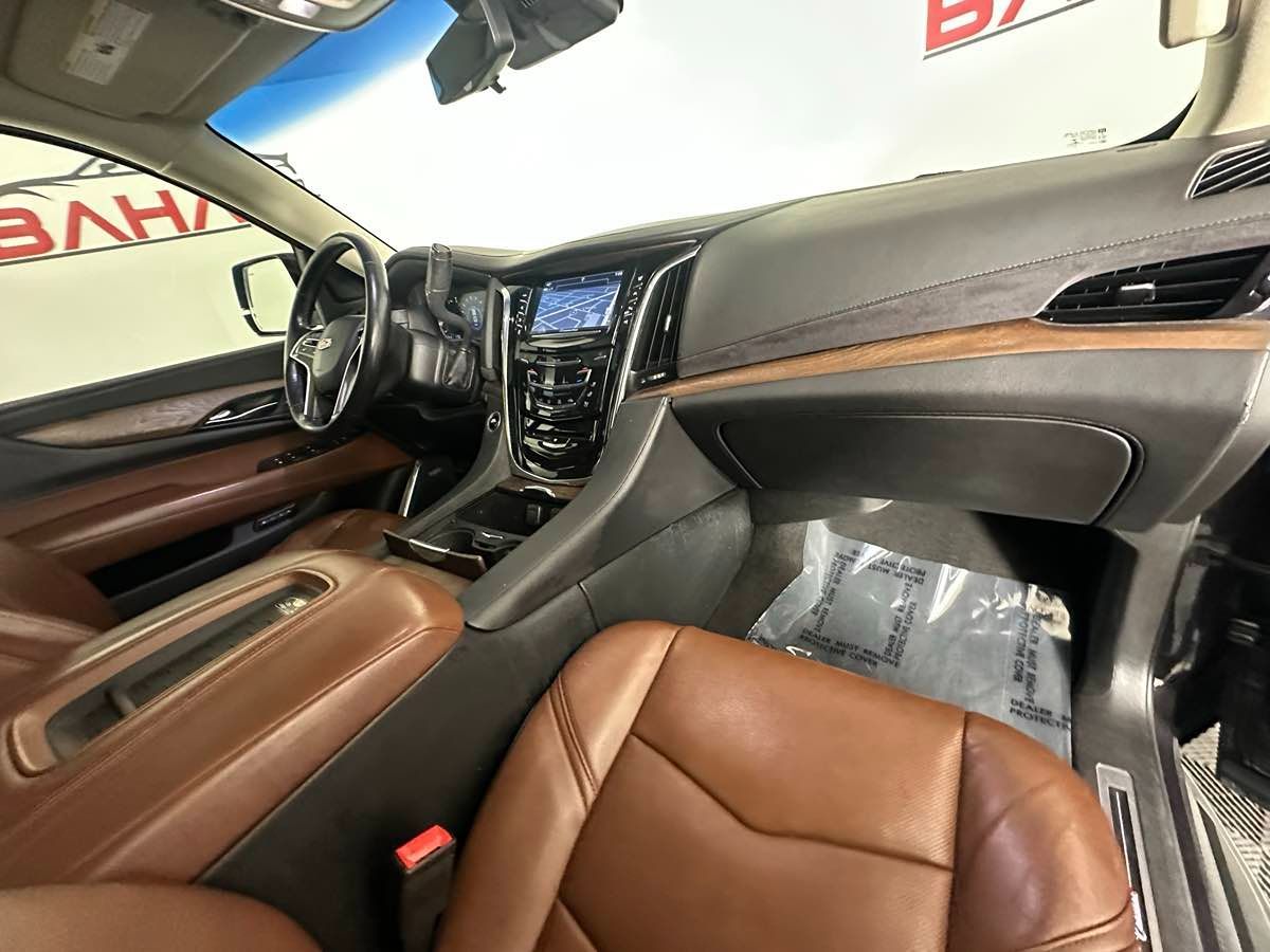 Image #29