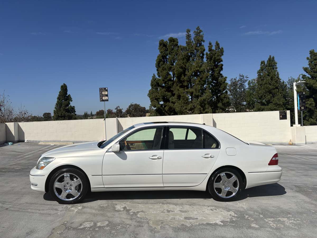 View 15