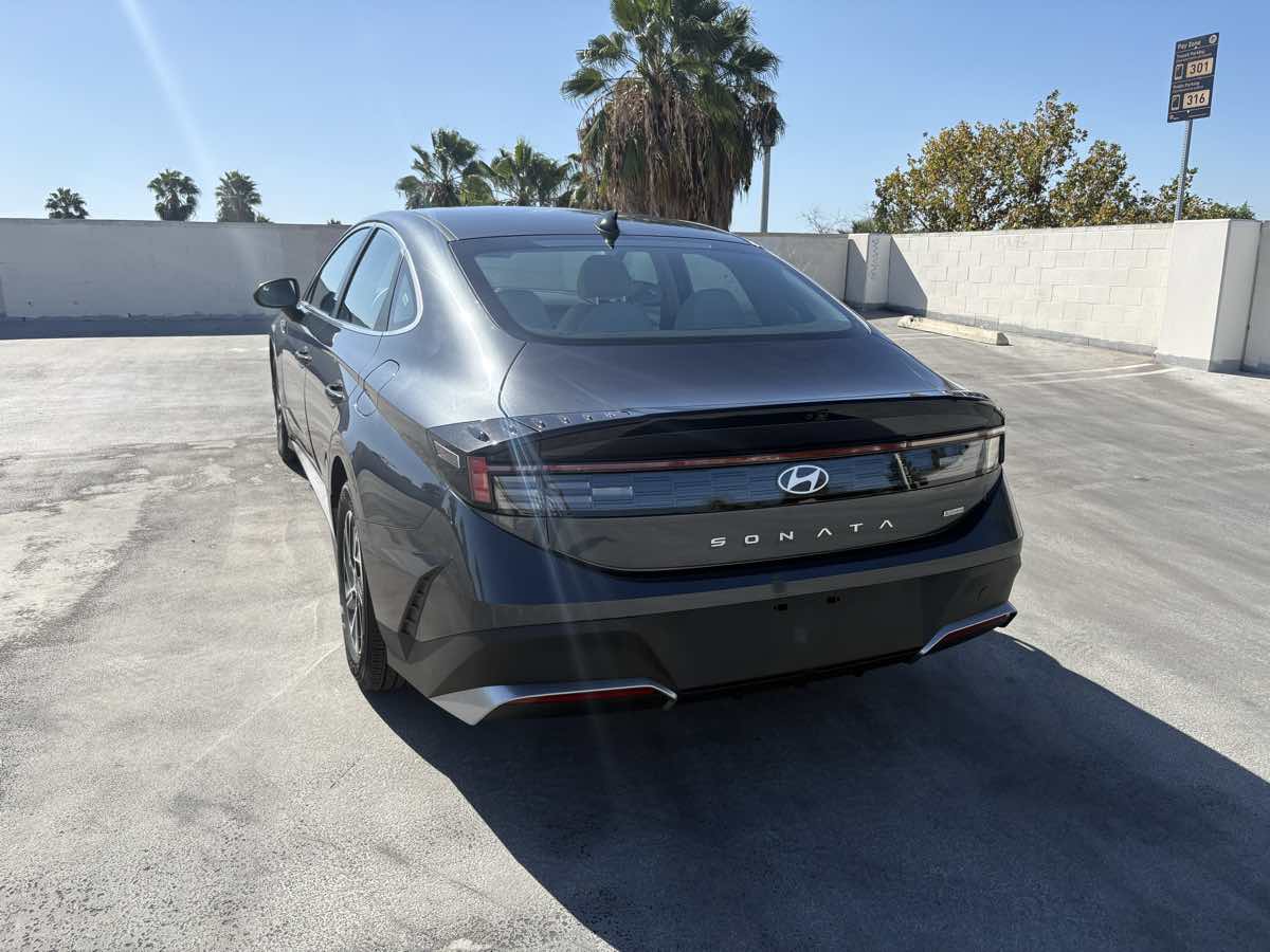 Image #11