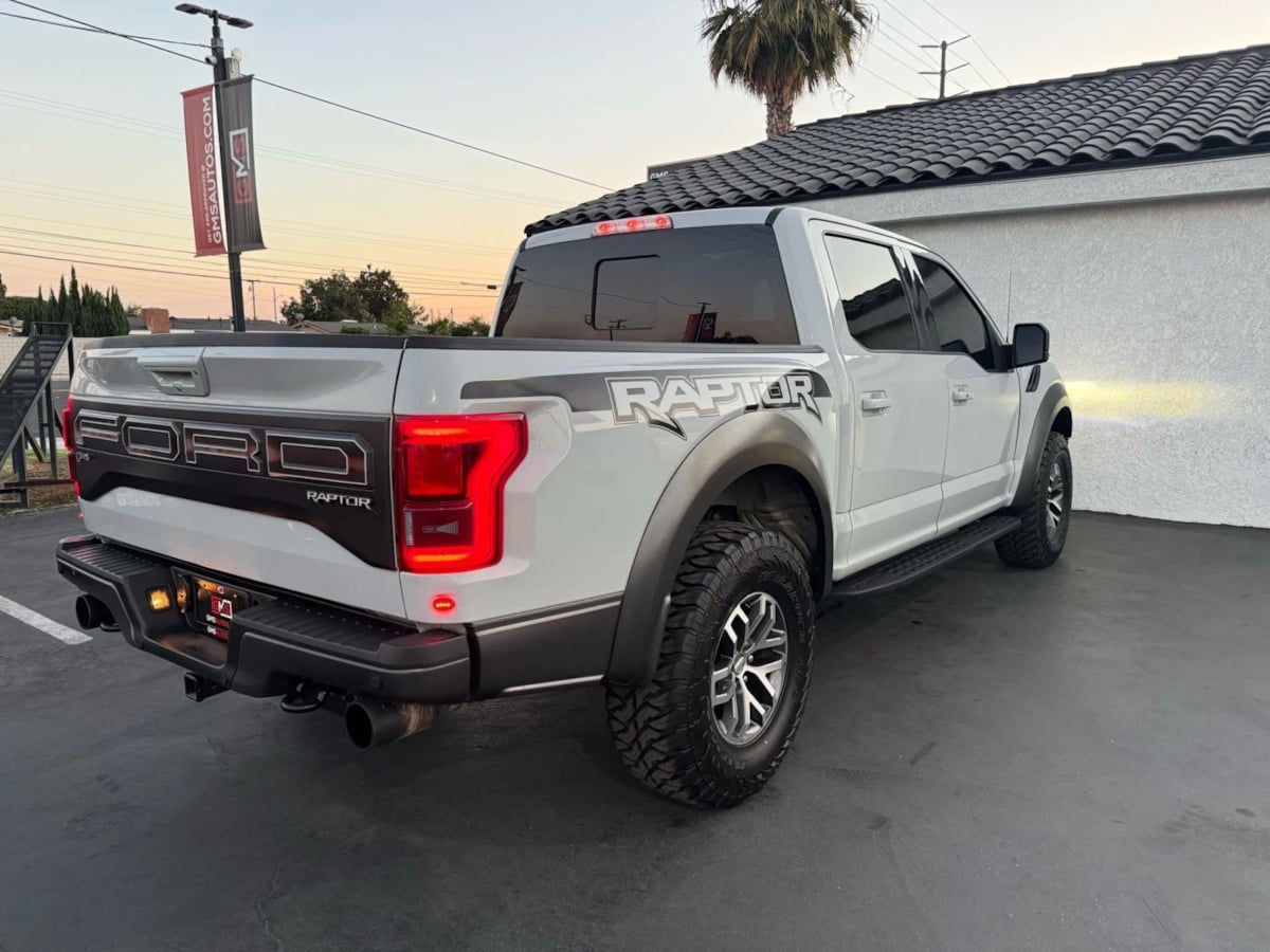 2017 Ford F-150 Raptor photo 14