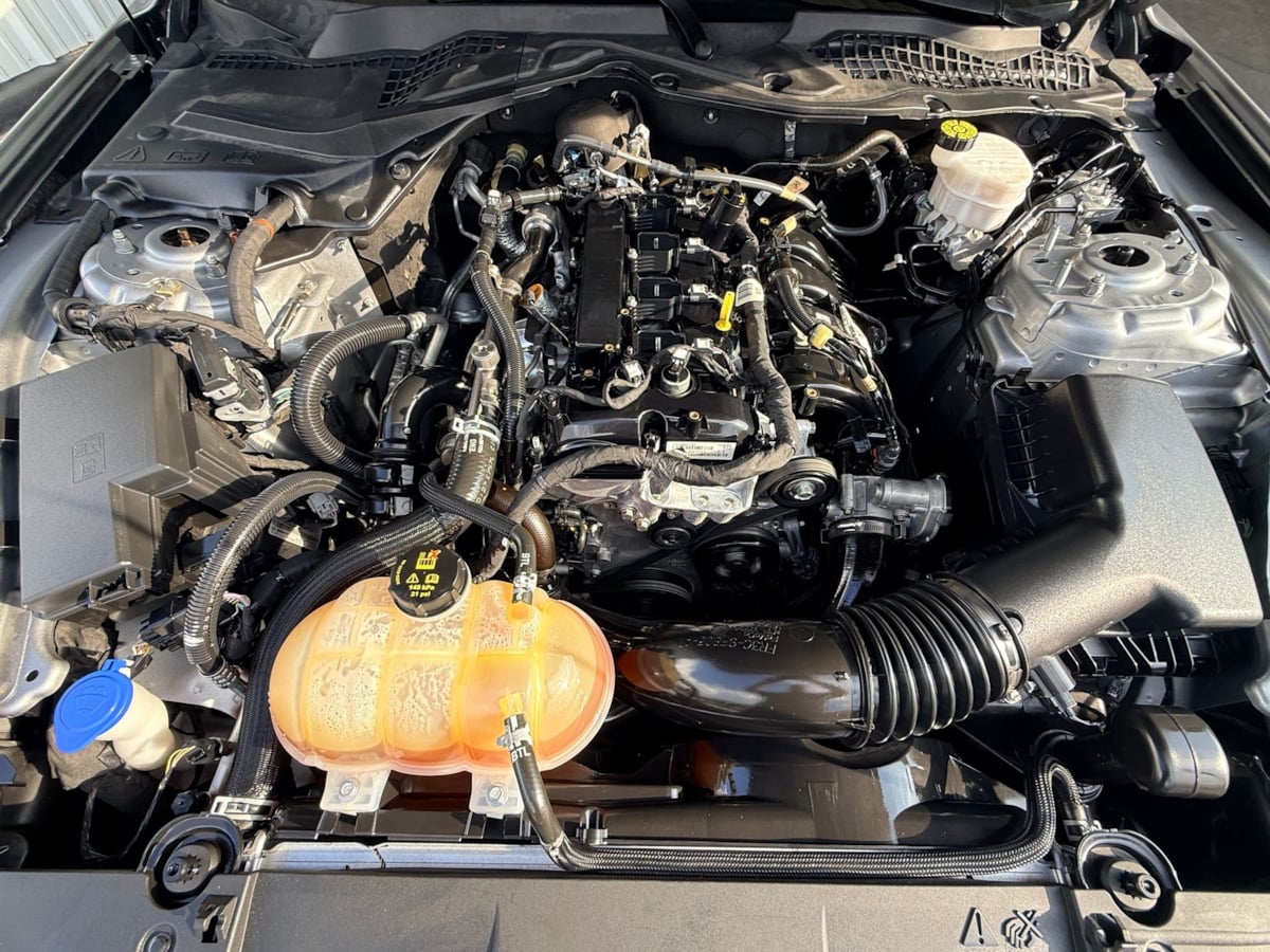 2021 Ford Mustang EcoBoost - Photo 29