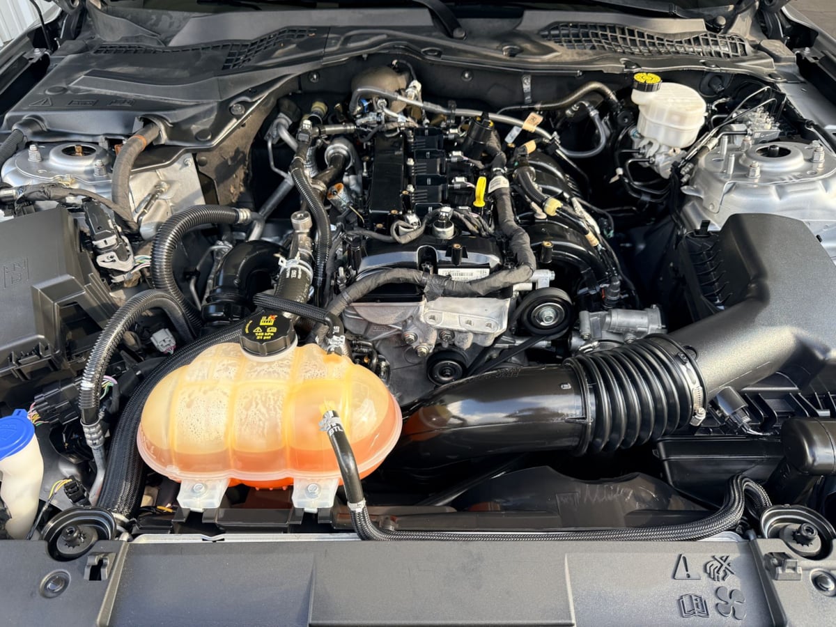 2021 Ford Mustang EcoBoost - Photo 30