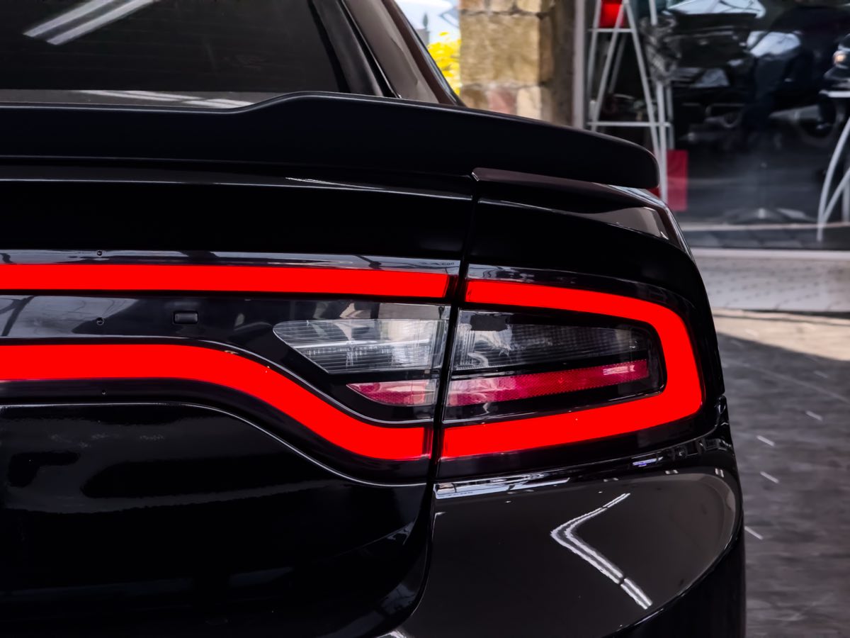 2022 Dodge Charger GT photo 14