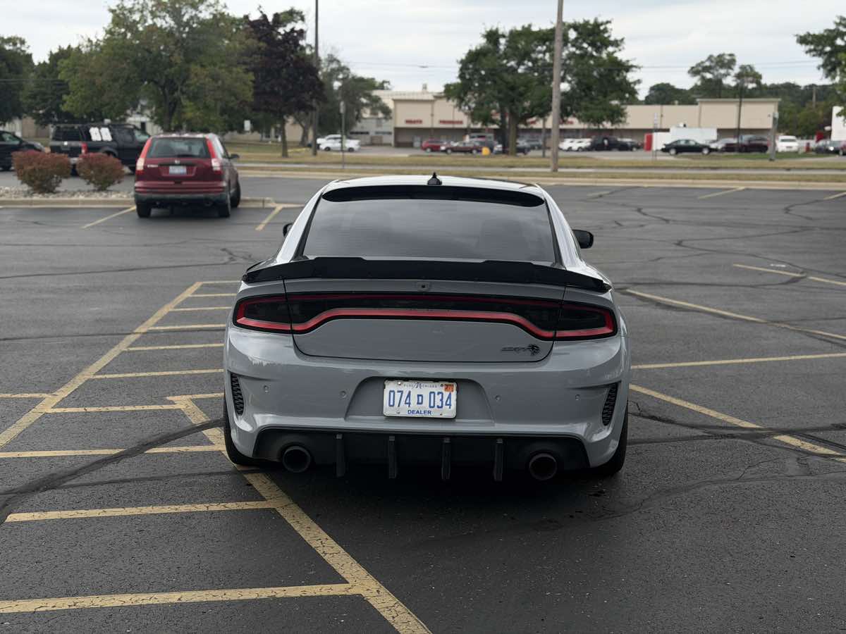 Image #5