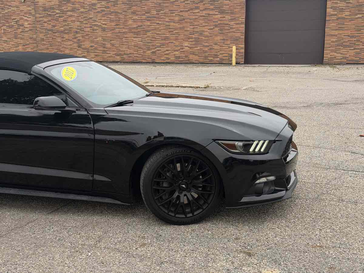 Photo 2 of this Ford Mustang