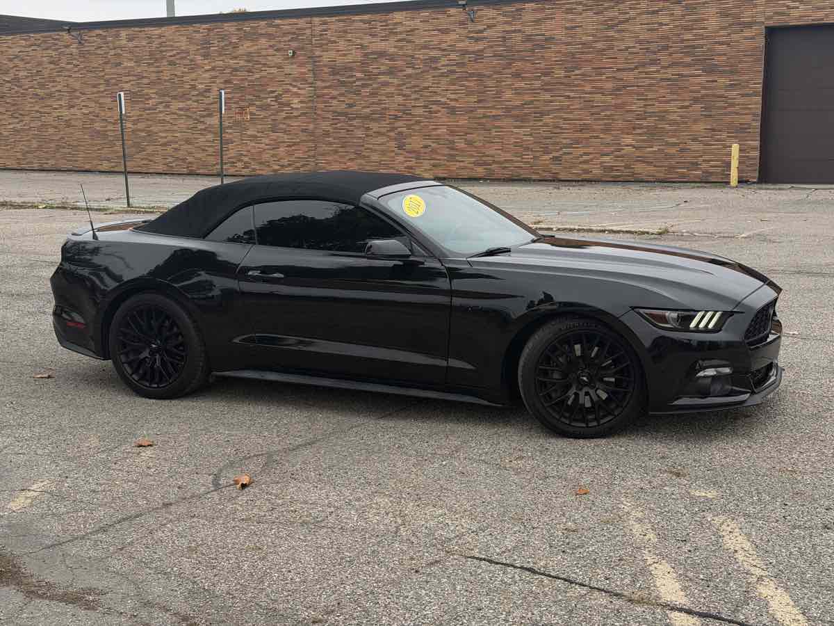 Photo 4 of this Ford Mustang