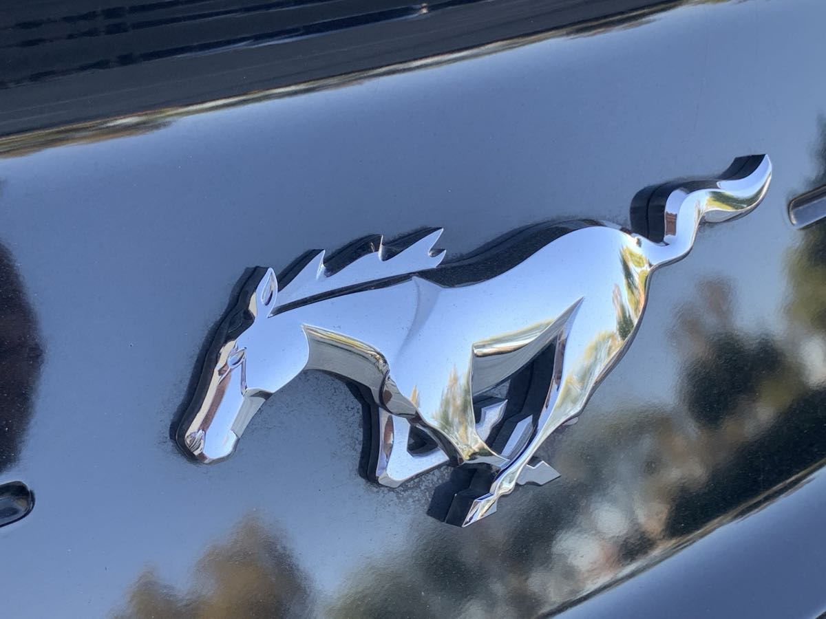 2021 Ford Mustang EcoBoost Premium photo 8