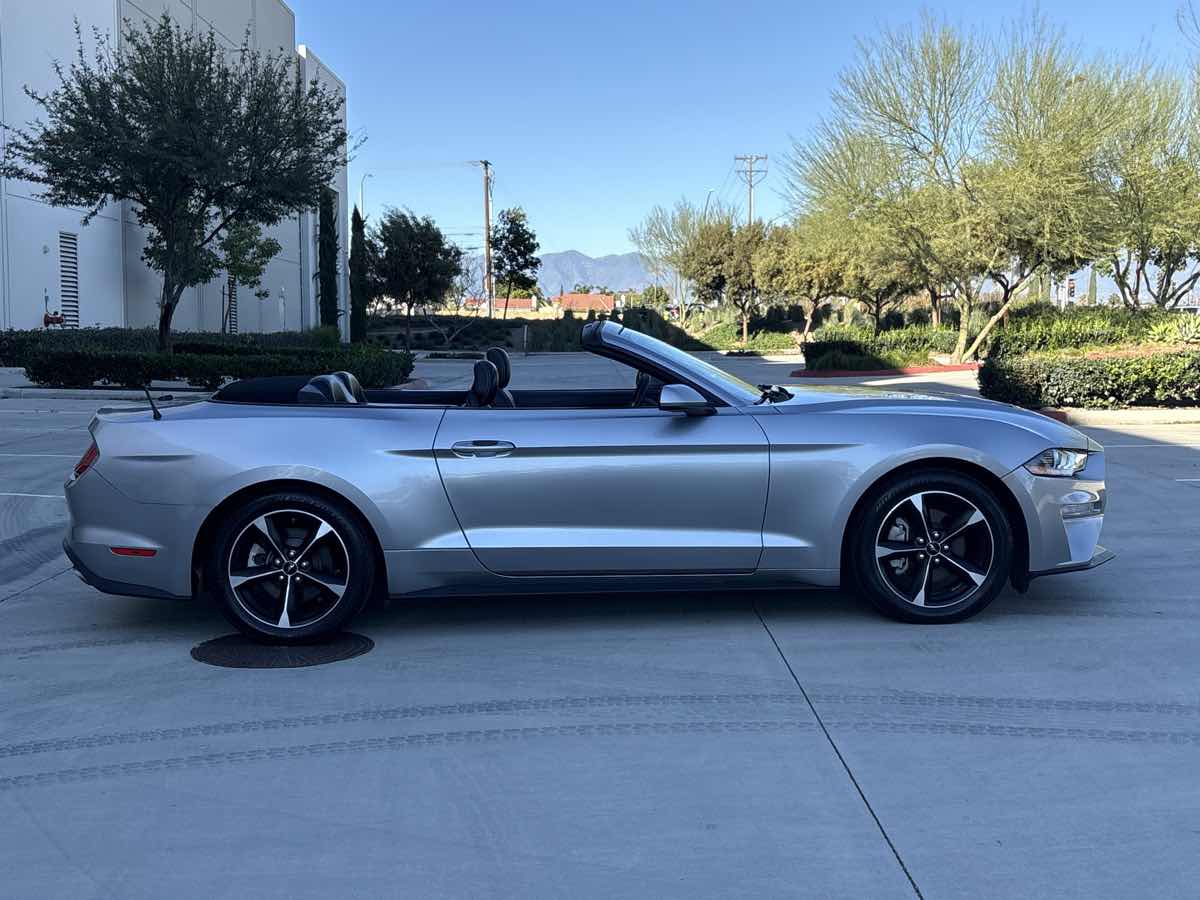 2020 Ford Mustang EcoBoost - Photo 10