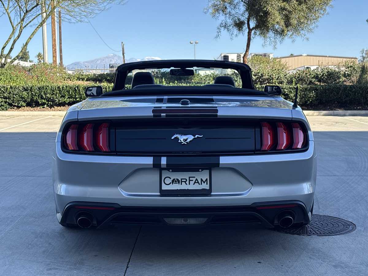 2020 Ford Mustang EcoBoost - Photo 12
