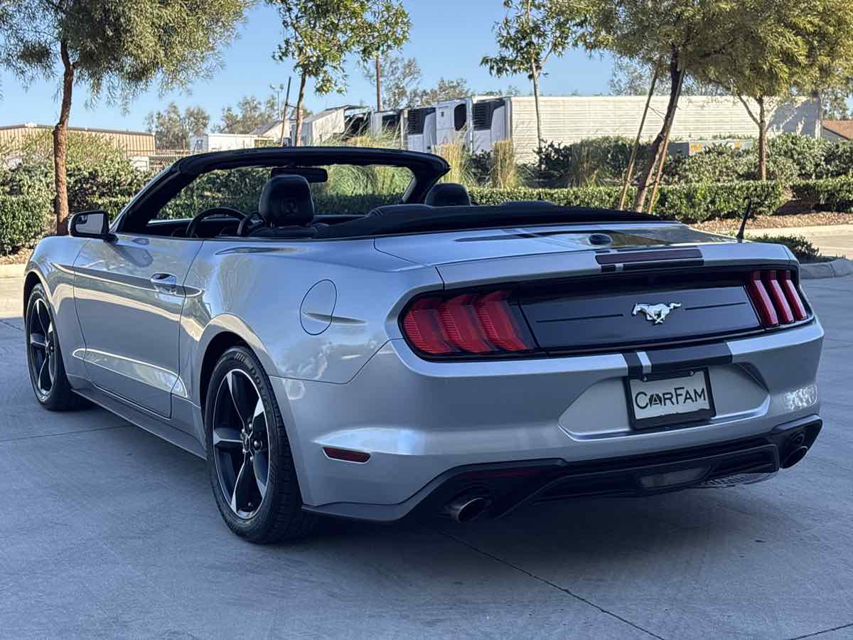 2020 Ford Mustang EcoBoost - Photo 13