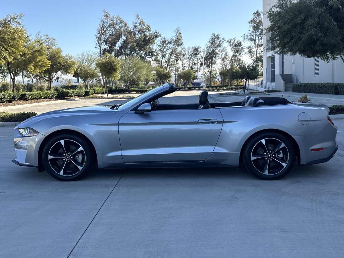 2020 Ford Mustang EcoBoost - Photo 14