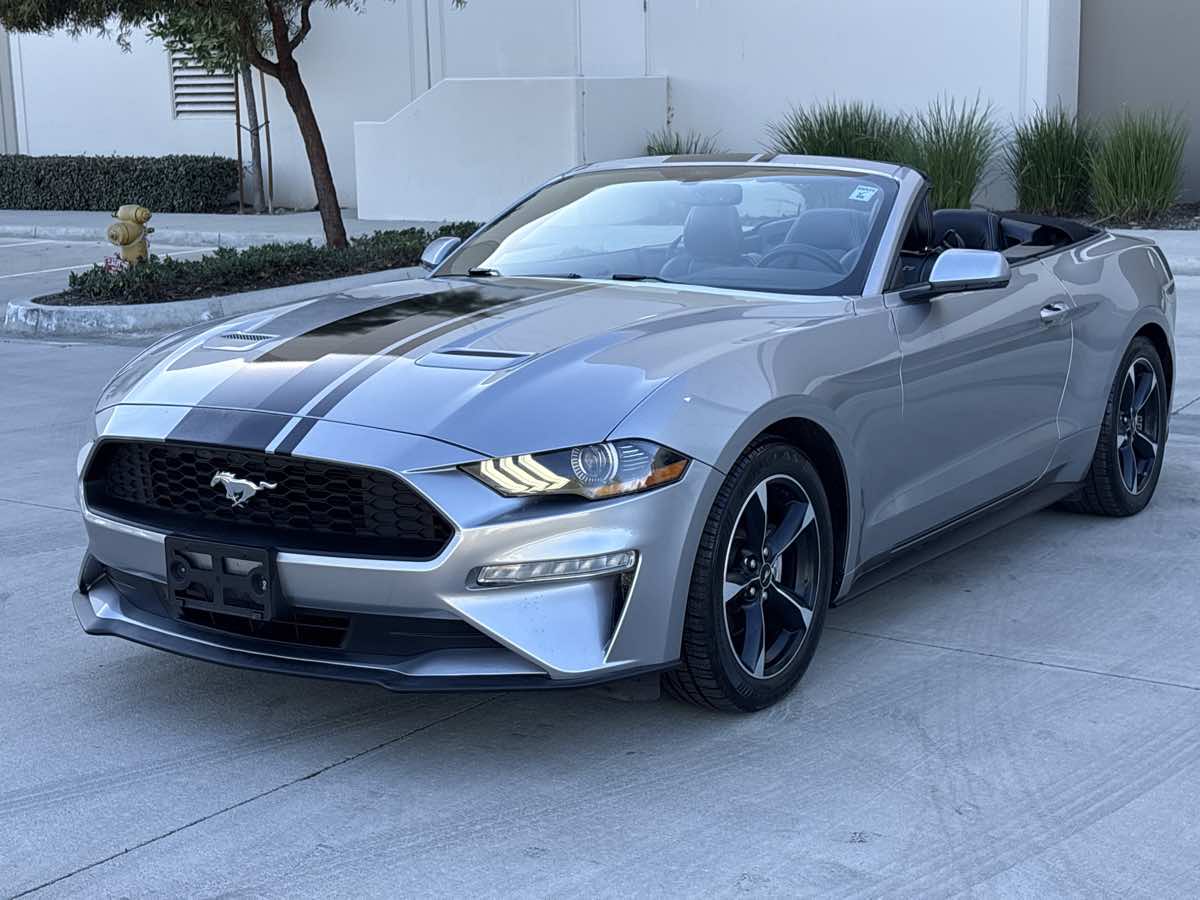 2020 Ford Mustang EcoBoost - Photo 15