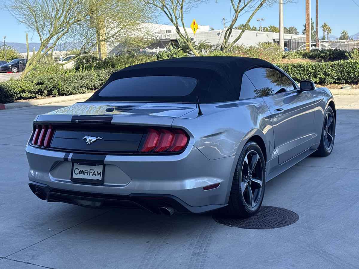 2020 Ford Mustang EcoBoost - Photo 3