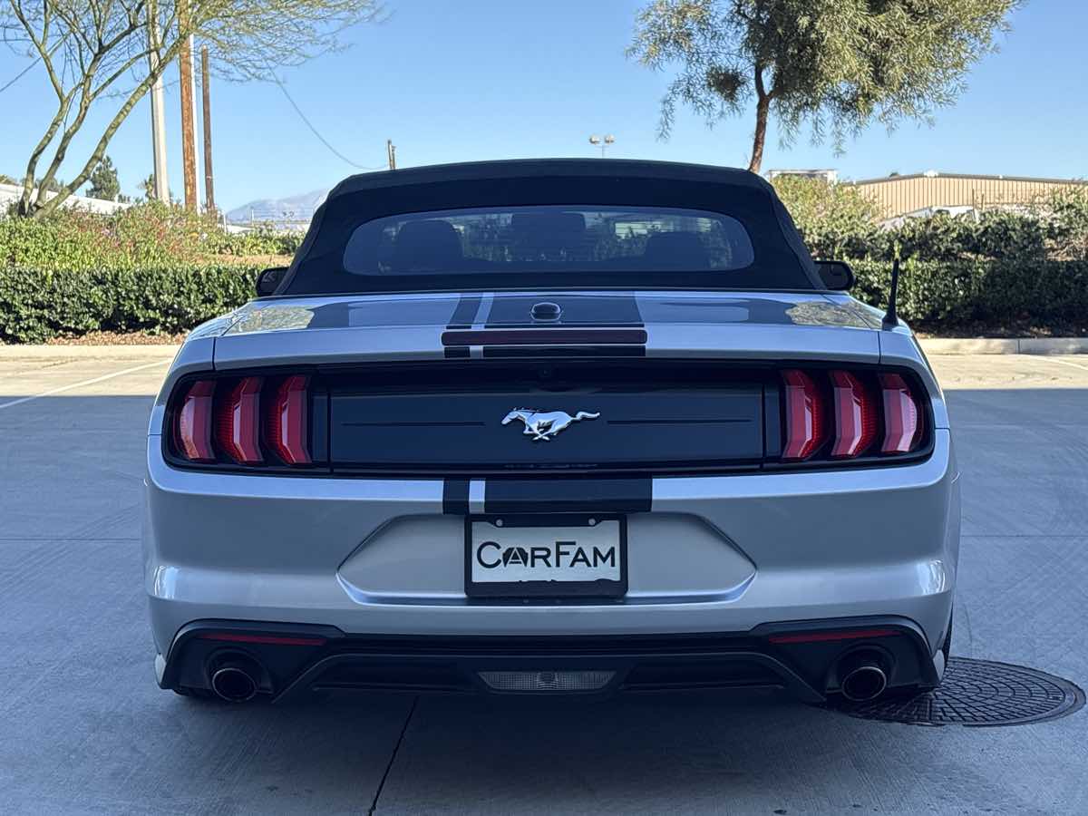 2020 Ford Mustang EcoBoost - Photo 4