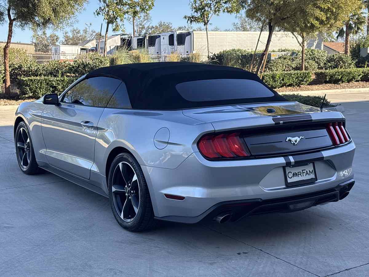 2020 Ford Mustang EcoBoost - Photo 5