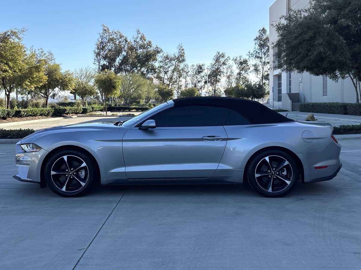 2020 Ford Mustang EcoBoost - Photo 6