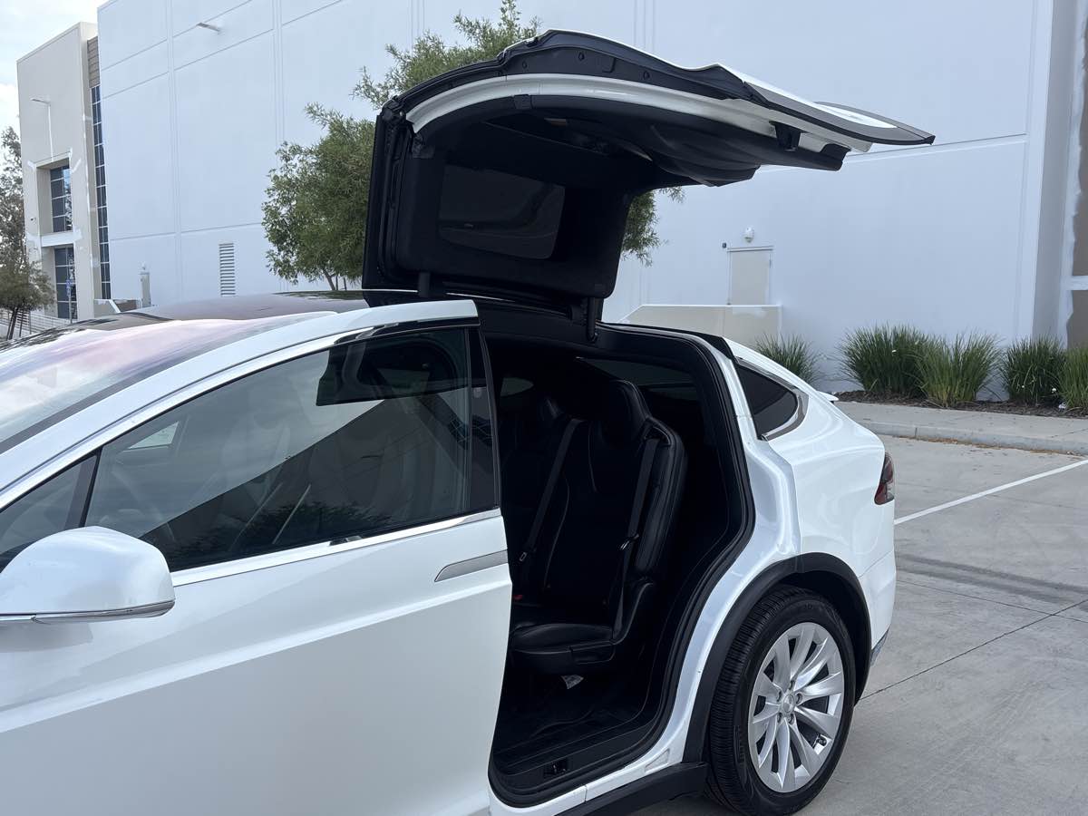 Image #12