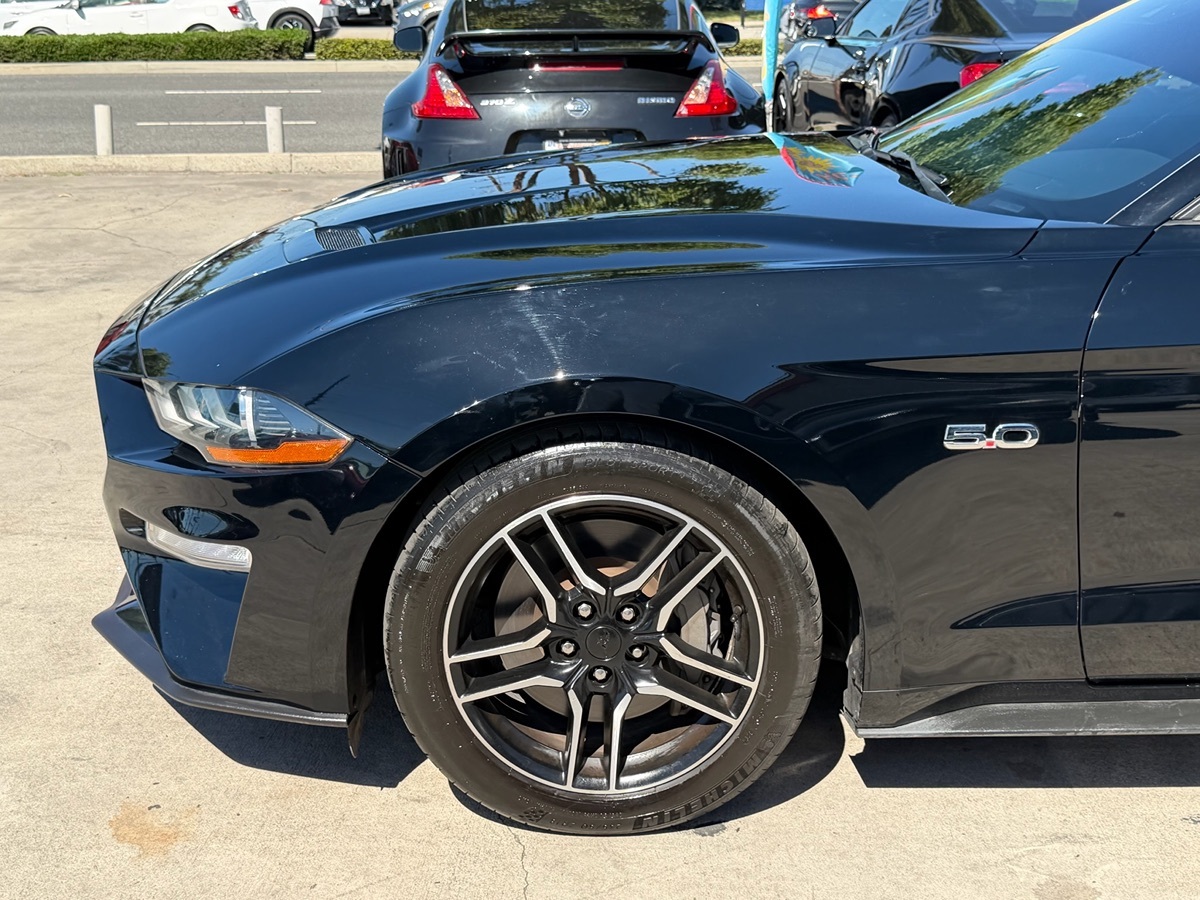 Image #7