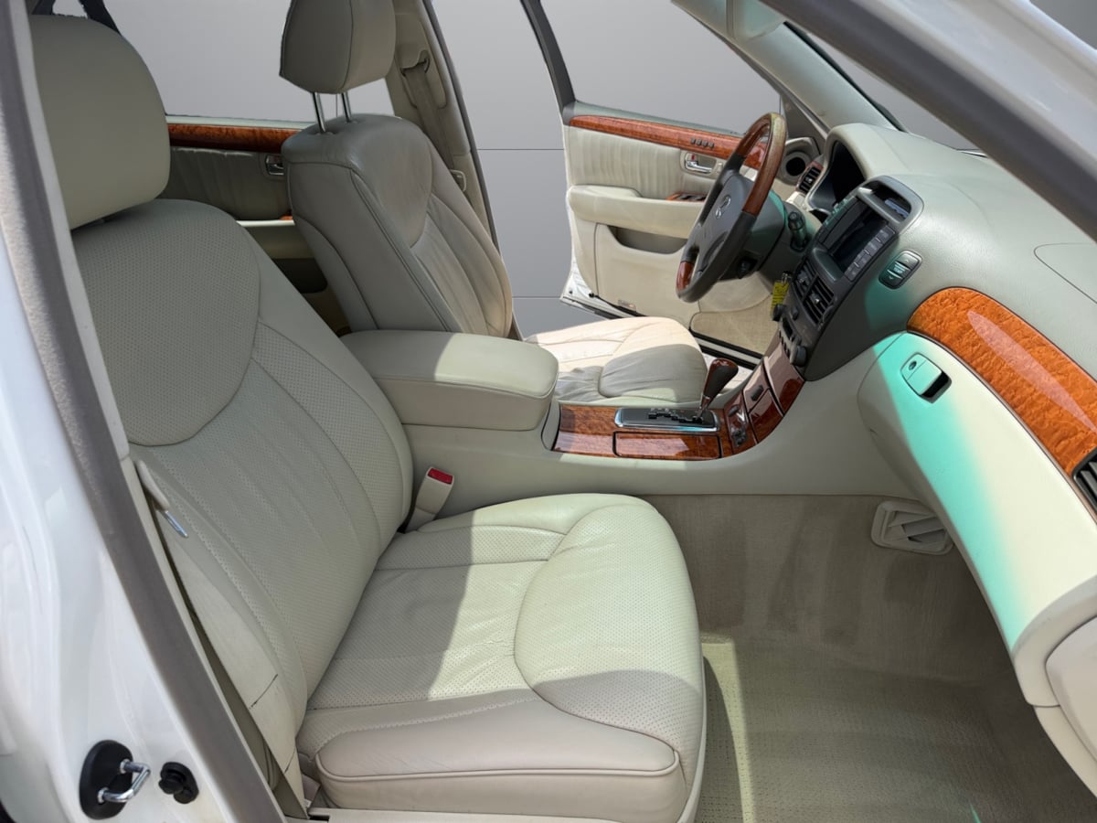 Image #17