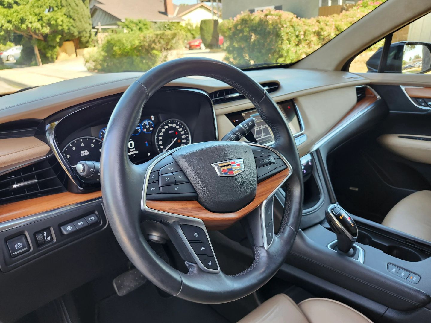 Image #10