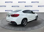 2019 Bmw X6 xDrive35i M photo 39