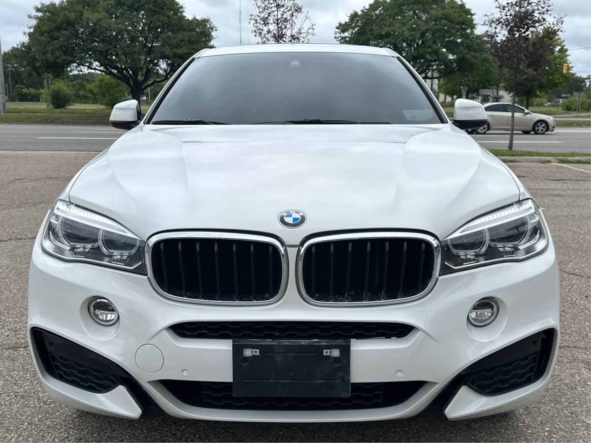 2019 Bmw X6 xDrive35i M photo 15