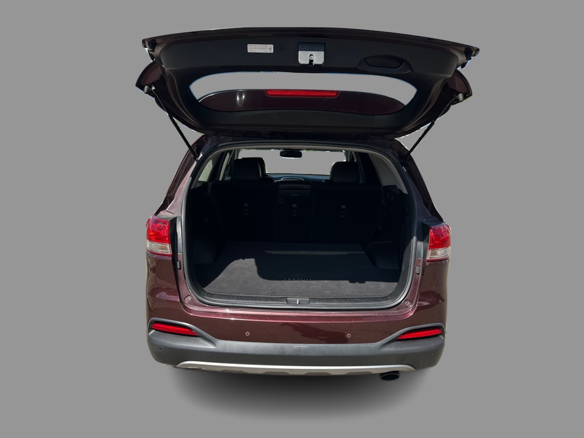 Kia Sorento photo 30