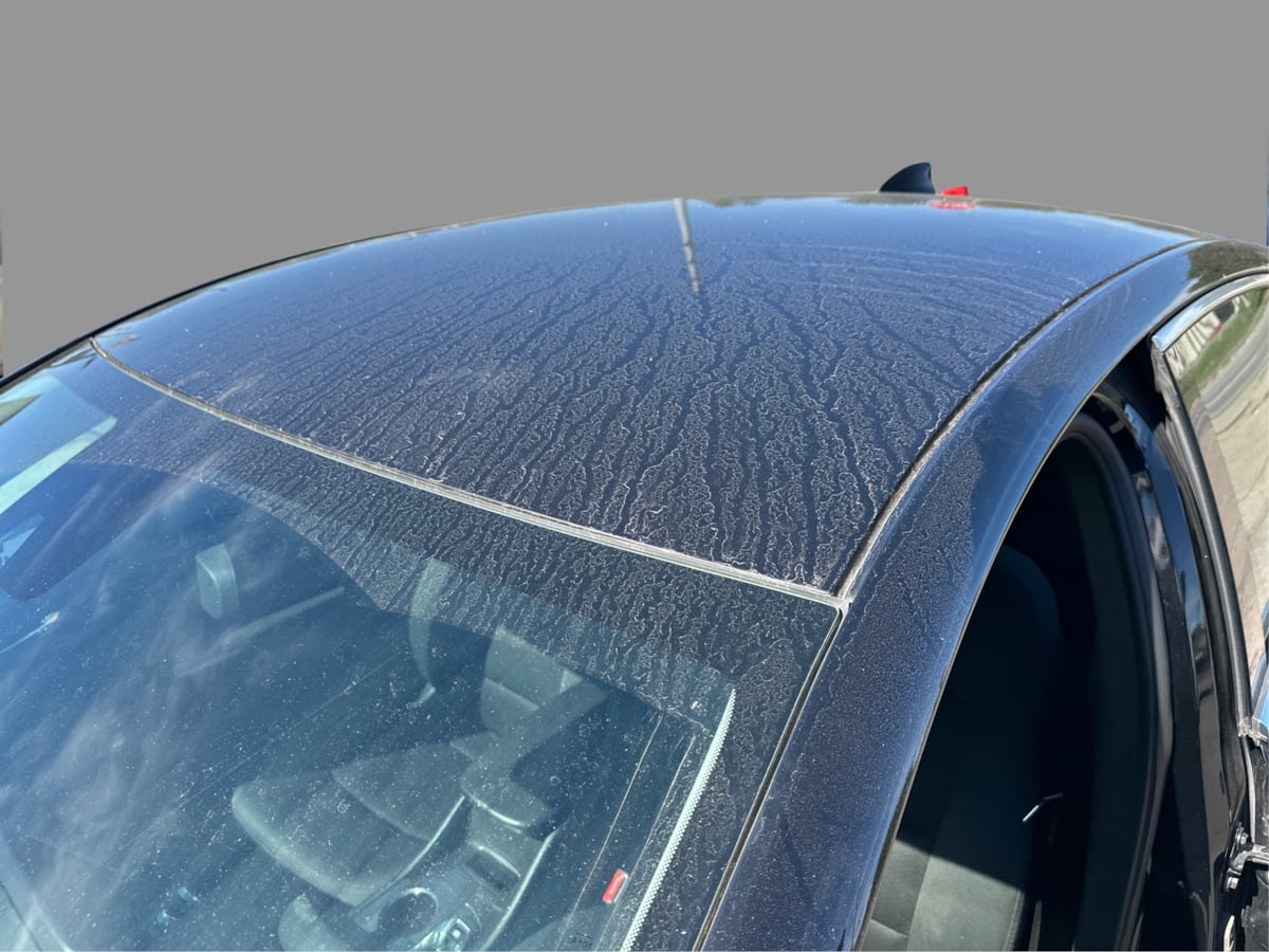 Chevrolet Malibu photo 14