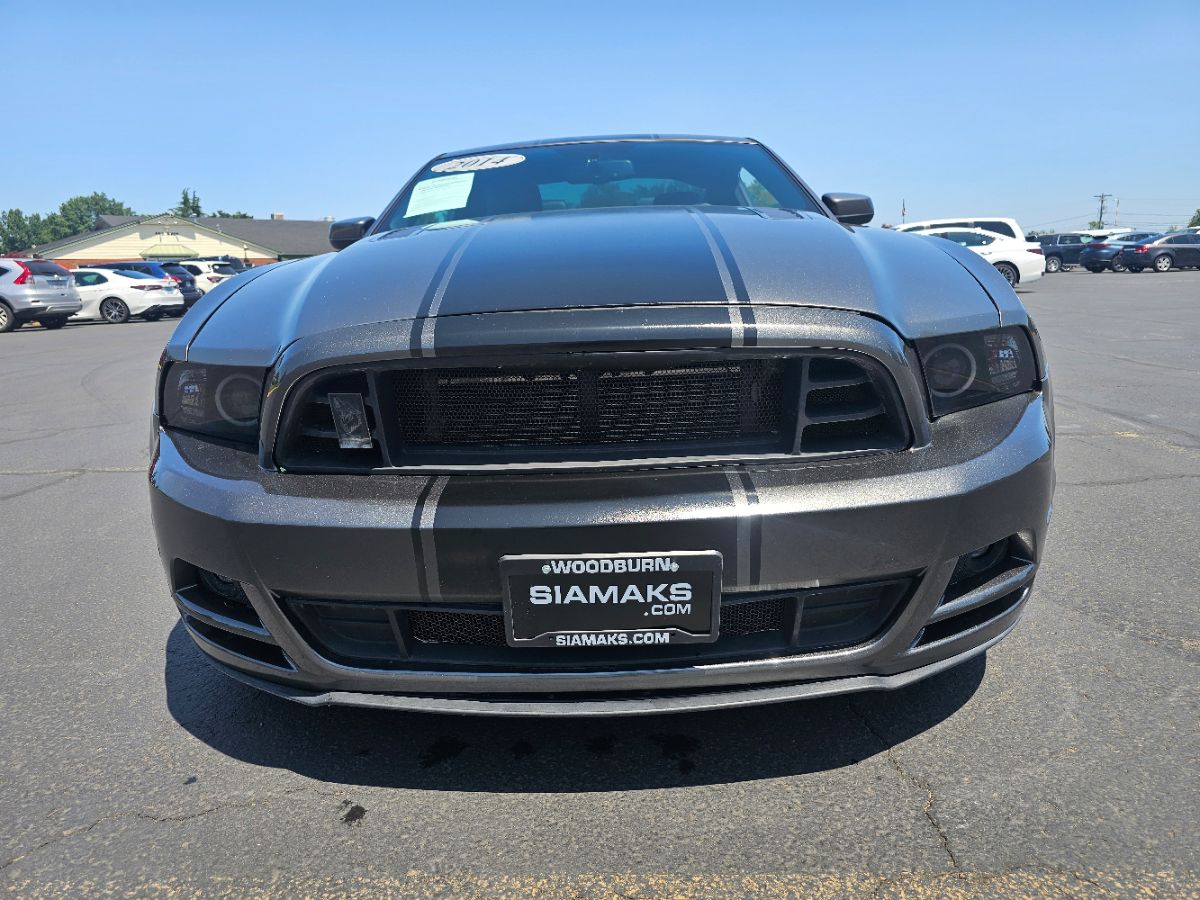 2014 Ford Mustang GT Premium photo 3