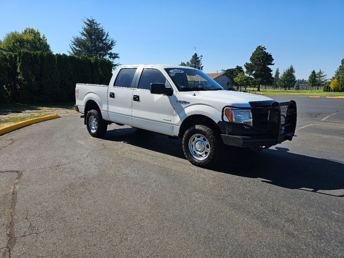 2014 Ford F-150 XL photo 3