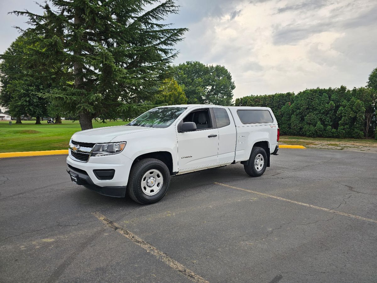 2019 Chevrolet Colorado Work Truck photo 2