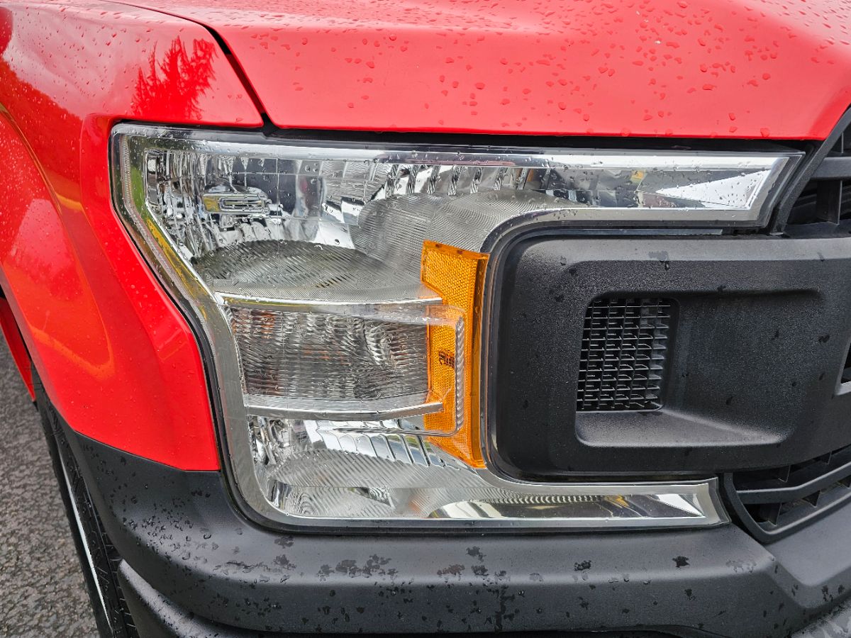 2019 Ford F-150 XL - Photo 5