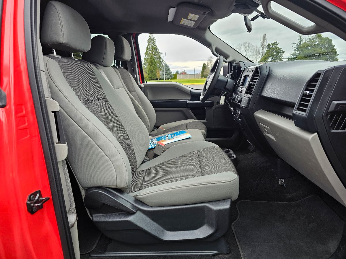 2019 Ford F-150 XL - Photo 9